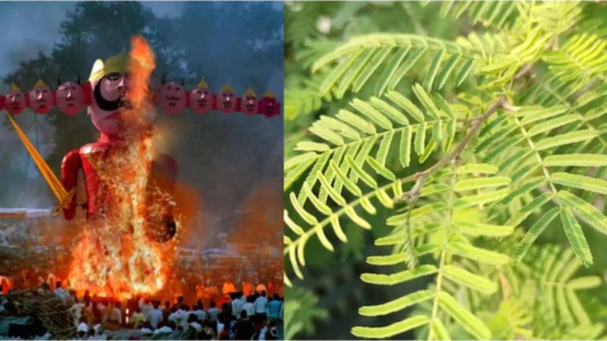 विजयादशमी पर शमी और अपराजिता पूजन क्यों है जरूरी?